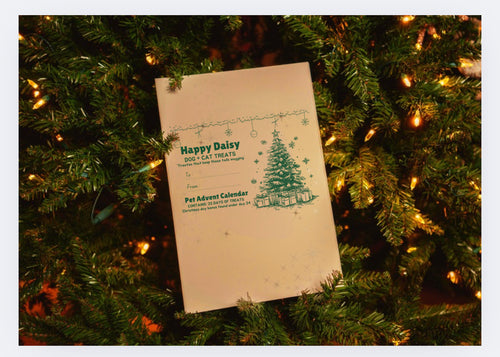 Advent Calendar Xmas 2025 - Novel Protein - PRE ORDER