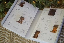 Load image into Gallery viewer, Advent Calendar Xmas 2024 - Novel Protein - PRE ORDER