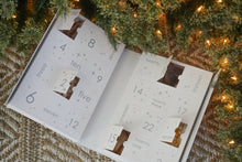 Load image into Gallery viewer, Advent Calendar Xmas 2024 - Novel Protein - PRE ORDER